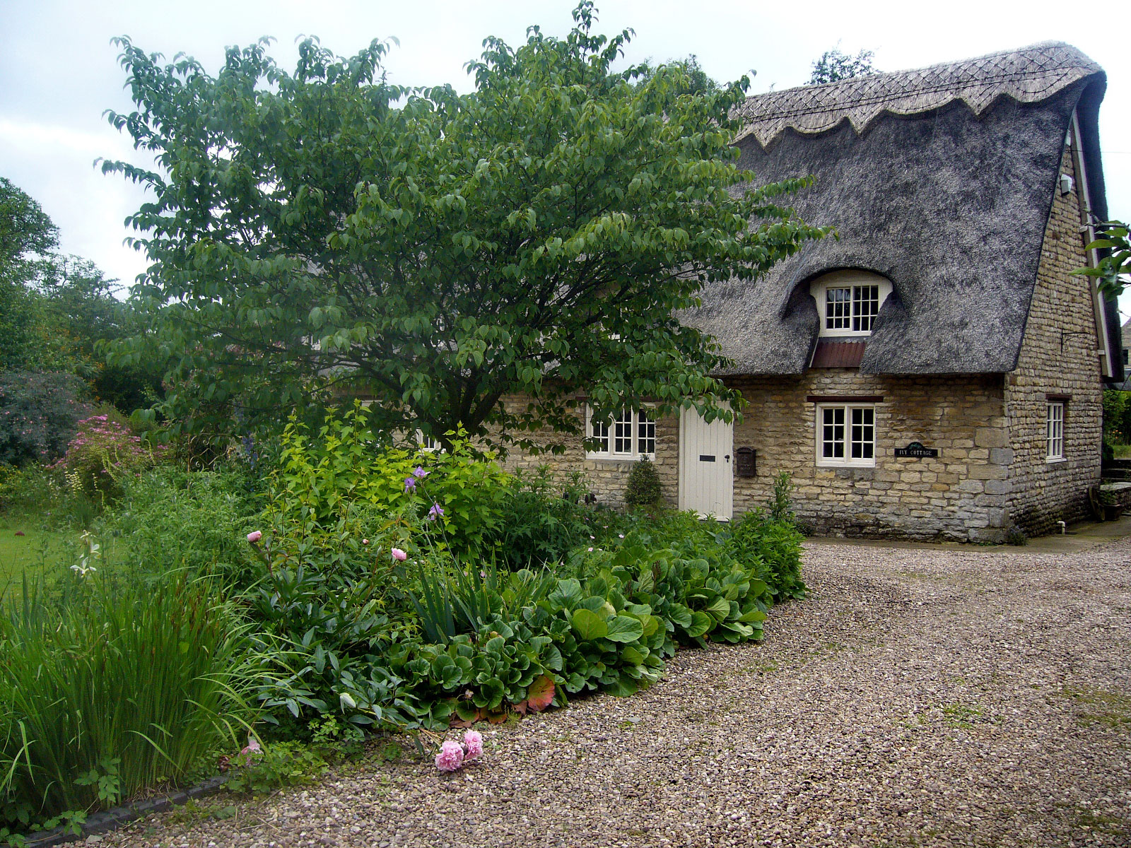 Rauceby
